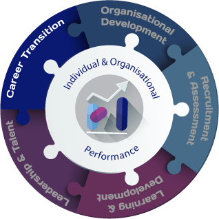 Homepage Wheel Career Transition